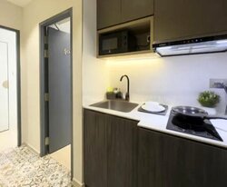 Amber Road (D15), Apartment #455821321